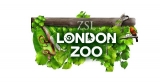 Christmas at London Zoo